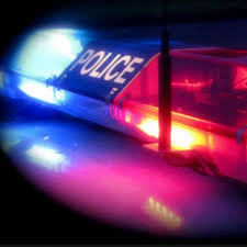 Cops Can Draw Blood From Inert Suspects, Justices Say