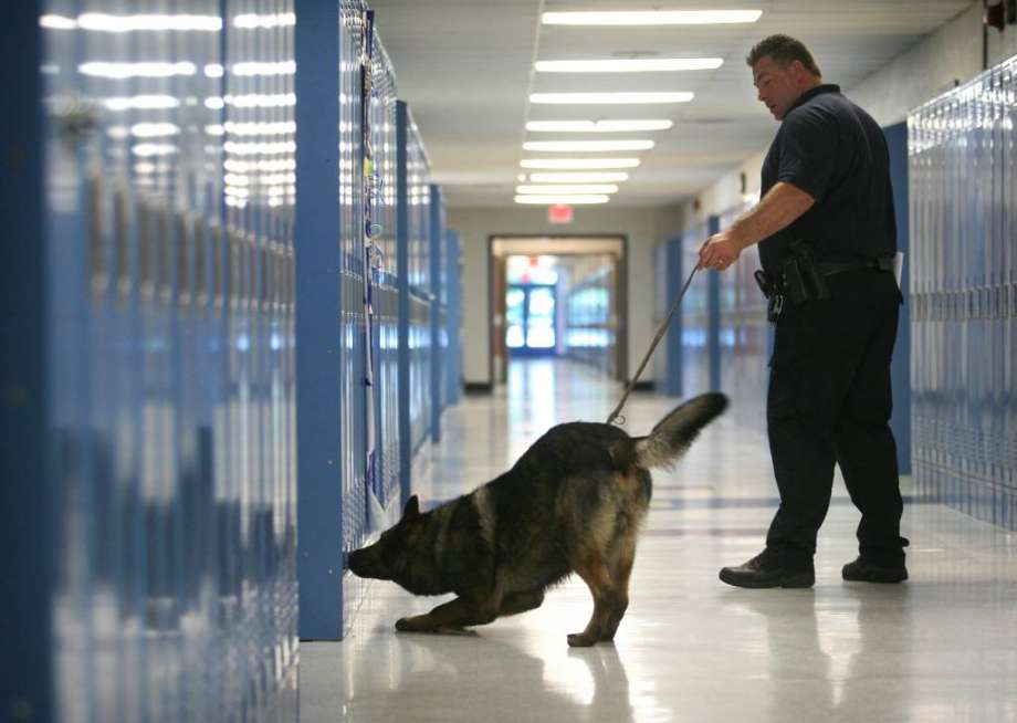 Chapel Hill-Carrboro City Schools eliminates drug-sniffing dogs on campus