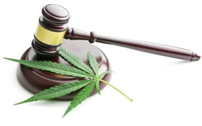 MORE Act Could Rectify the Harm From the War on Drugs