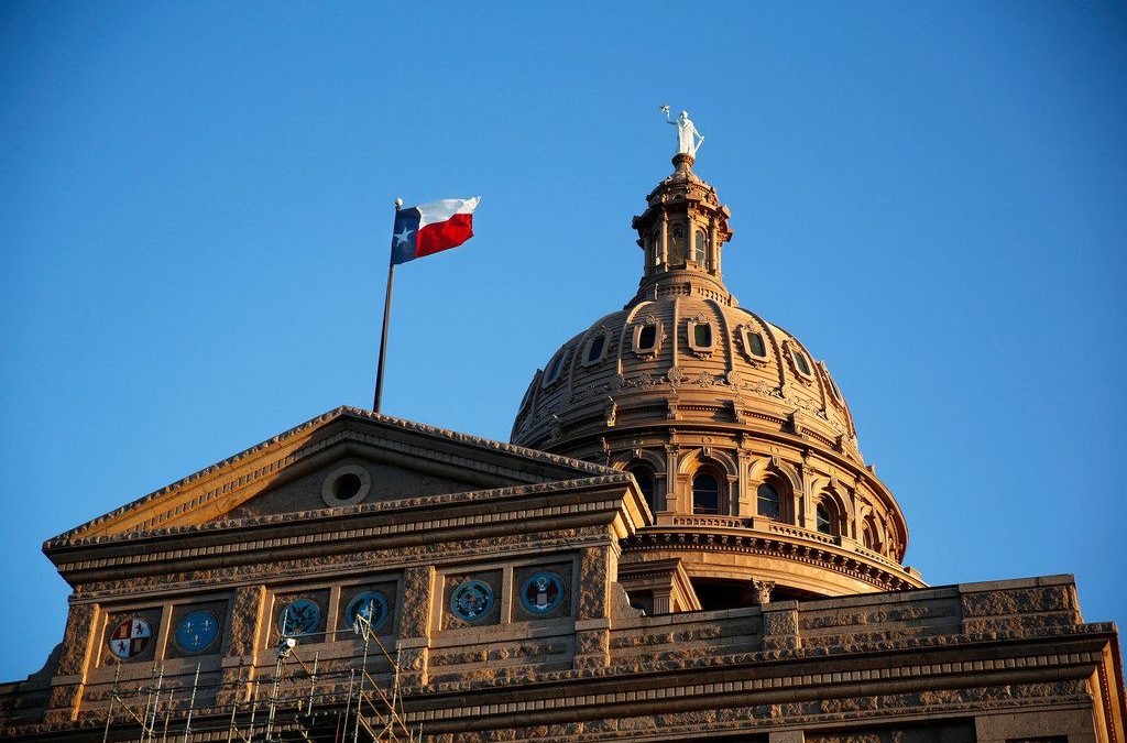 Texas Politicians’ Attempts to Ban Books is Unlawful According to Civil Rights Groups