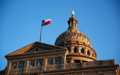 Texas Politicians’ Attempts to Ban Books is Unlawful According to Civil Rights Groups