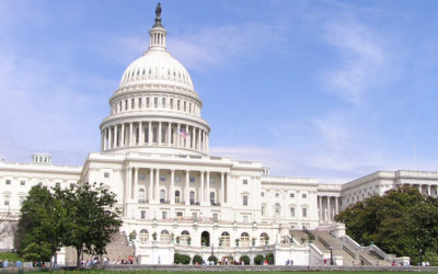 Language Assistance Programs Play Vital Role In Our Democracy