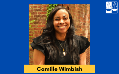 Lawyers’ Committee for Civil Rights Announces Camille Wimbish as the Inaugural National Director of Campaigns and Field Programs for the Election Protection Coalition